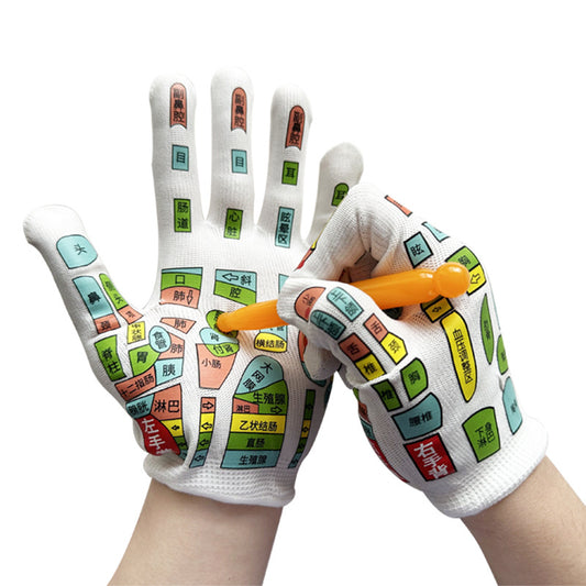 Colorful Hands Reflexology Gloves -彩色手部穴位图手套